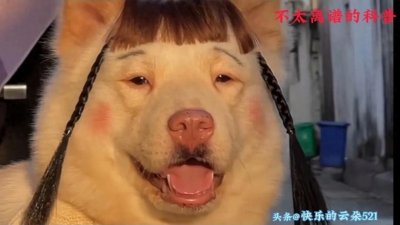 ​为什么中年妇女在家穿着随意，甚至是全裸，就不注重形象了呢