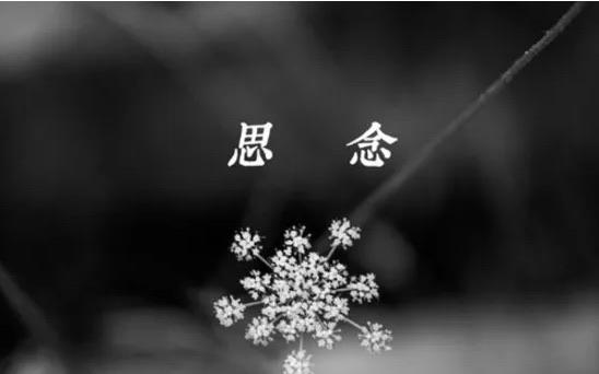生活你走过的地方只剩下思念难捱是什么歌 《哪里都是你》完整版歌词在线听歌  2