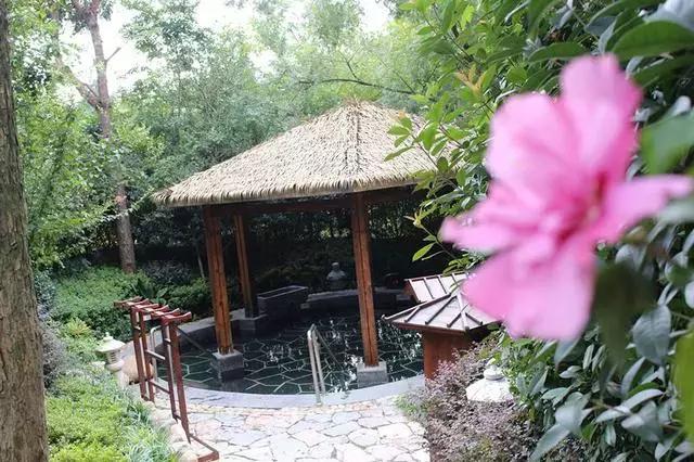 上海周边度假村（上海出发2h隐居在最美6个度假村民宿）(13)