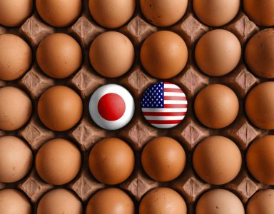 ​伤到日企“玻璃心”： 新日铁收购失败还将威胁美日芯片同盟？