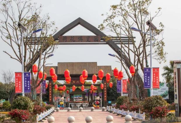 配图