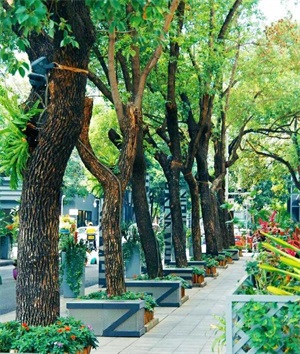 深圳有哪些免费好玩的景点推荐（深圳7个景点好玩又免费）(10)
