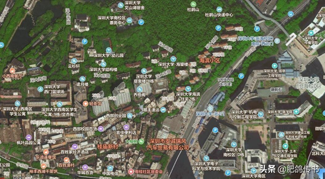 十秒看懂深圳大学地理布局（高清卫星图）