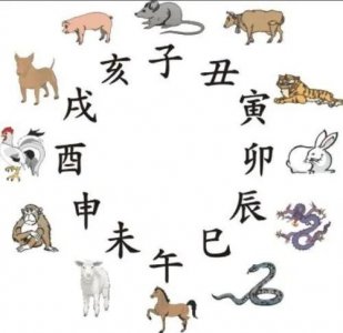 ​弥补你的知识盲区：子鼠、丑牛、寅虎、卯兔……到底是嘛意思？