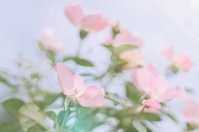 ​世界豪车价格排行榜 世界豪车排行榜 前30名价格
