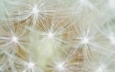 ​接头暗号搞笑一点的 最可爱的接头暗号分享