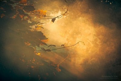 ​《光阴之外》：耳根发布新书，废土修仙题材，主角人狠话不多