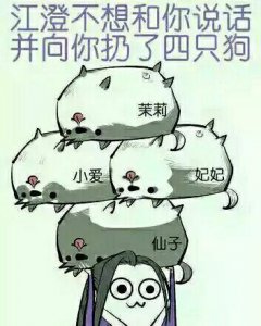 ​便宜好养的小宠物(哪种宠物狗好养又便宜)