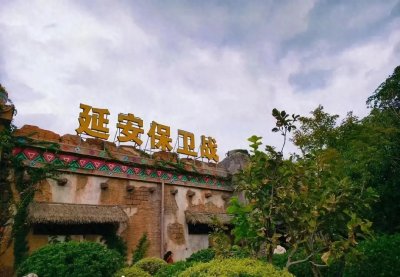 ​关于延安保卫战的深度解析