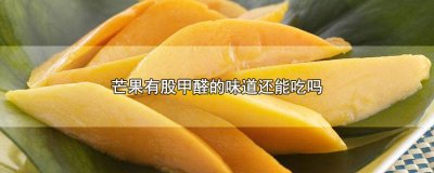 ​芒果有点发臭还能吃吗 芒果有点臭能吃吗