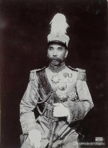 ​湖北督军 | 王占元