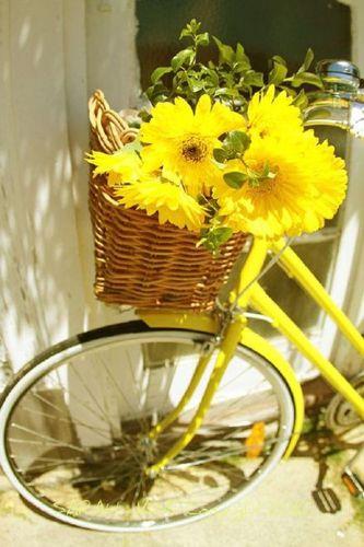 美好生活的图片 记录美好生活的图片