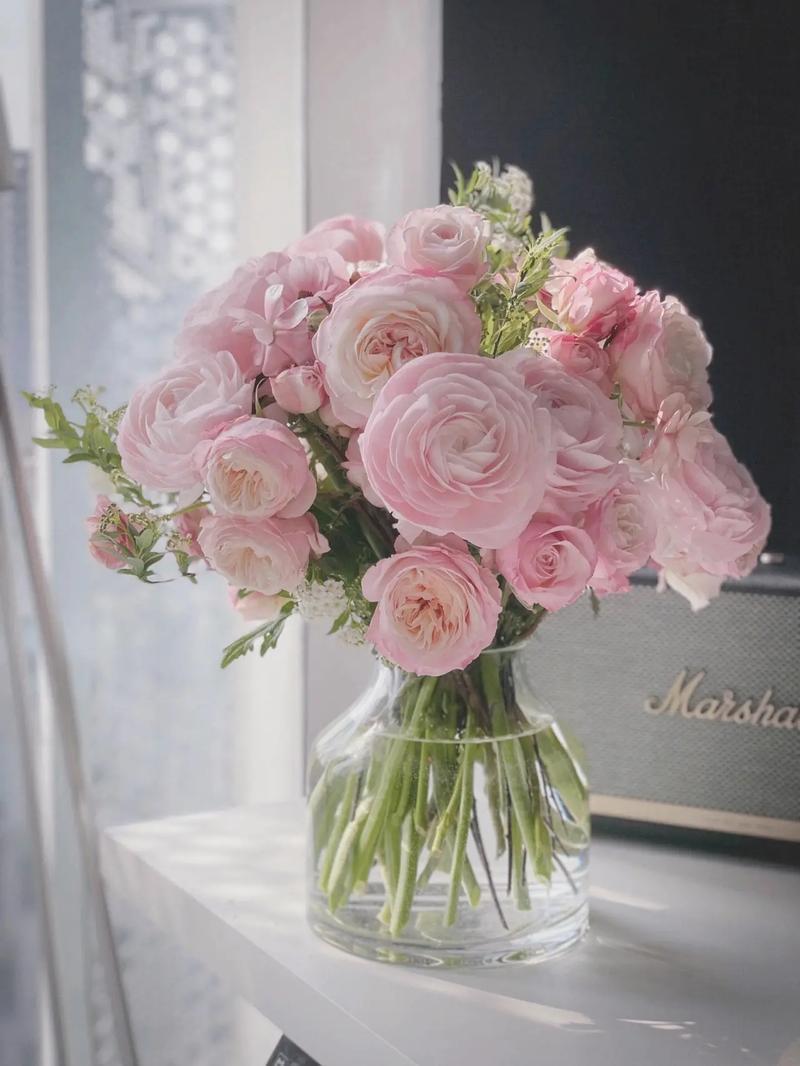 美好生活的图片 记录美好生活的图片