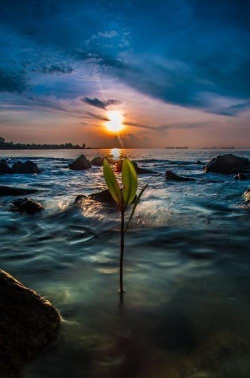 美好生活的图片 记录美好生活的图片