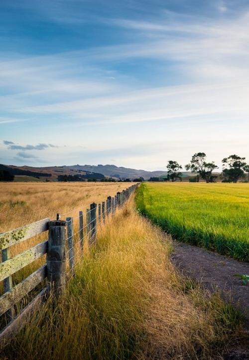 美好生活的图片 记录美好生活的图片