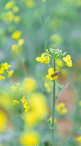 ​美好生活的图片 记录美好生活的图片