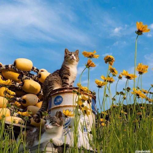 享受生活图片唯美 享受生活图片唯美意境