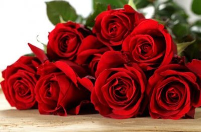 ​浪漫玫瑰怎样养？满足“4个”要求，大苗小苗都开花，次次开爆盆