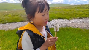 穷游的似水年华(穷游的似水年华流量为什么那么高?)