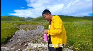 穷游的似水年华(穷游的似水年华流量为什么那么高?)