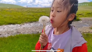 穷游的似水年华(穷游的似水年华流量为什么那么高?)