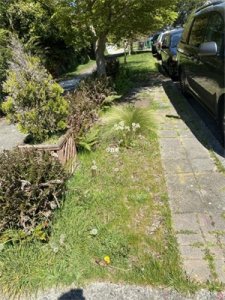 ​北京适合露营搭帐篷的地方