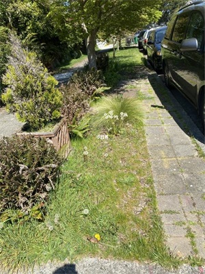 1、帐篷周围的杂草及灌木是绝对不能碰的,一旦碰到就会被扎破造成不必要的麻烦;