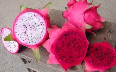 ​火龙果精确的寄存方式，凉爽处寄存半月（冰箱冷躲正月以上）