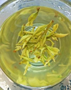 ​青茶和绿茶一样吗(绿茶与青茶有何区别)