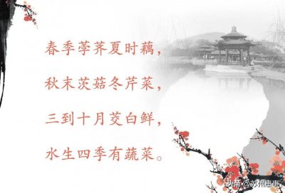 ​苏州水八仙系列 |“水八仙”从何而来？又如何俘获人心？