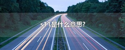 ​s11是什么意思?