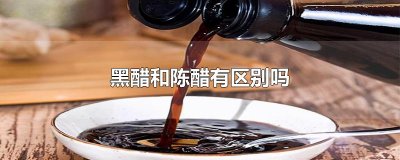 ​黑醋和陈醋有区别吗