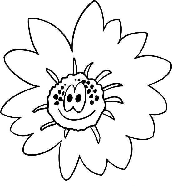 简笔画花草画法（分步骤讲解三种花儿简笔画）(7)