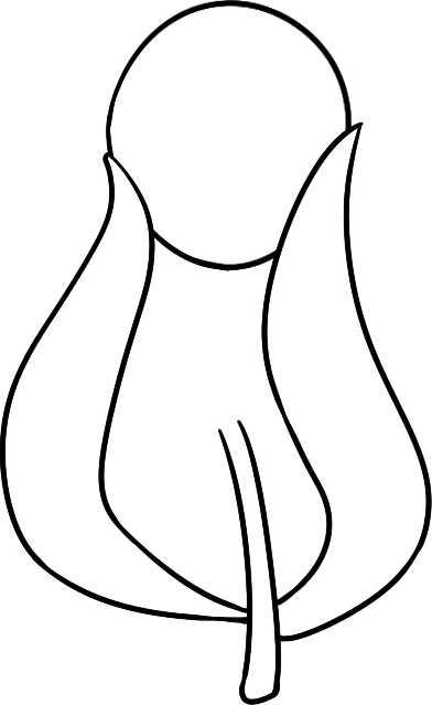 简笔画花草画法（分步骤讲解三种花儿简笔画）(10)