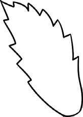 简笔画花草画法（分步骤讲解三种花儿简笔画）(1)