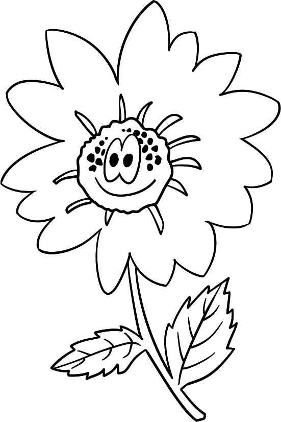 简笔画花草画法（分步骤讲解三种花儿简笔画）(8)