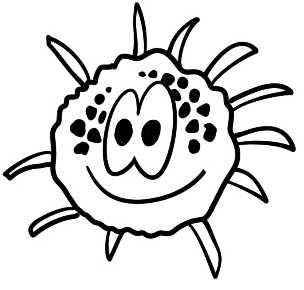 简笔画花草画法（分步骤讲解三种花儿简笔画）(6)