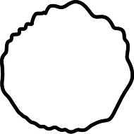 简笔画花草画法（分步骤讲解三种花儿简笔画）(5)