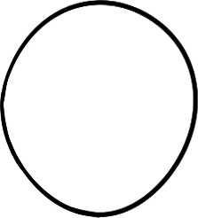 简笔画花草画法（分步骤讲解三种花儿简笔画）(9)