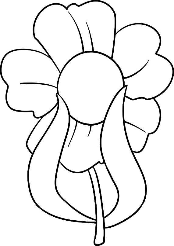 简笔画花草画法（分步骤讲解三种花儿简笔画）(11)