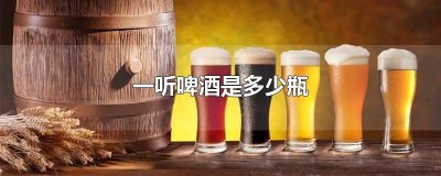​一听啤酒是多少瓶