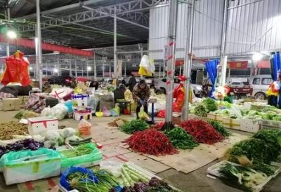 ​蔬菜毛利率一般是多少(蔬菜水果的利润大约是多少)