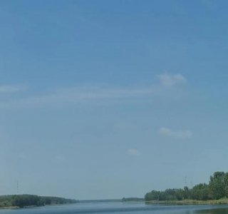 ​为什么父母一定要让孩子结婚(父母强迫子女结婚的后果)