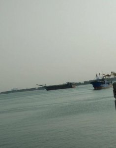 ​弋字加一撇(弋字多一撇是什么字)