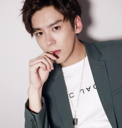 魏哲鸣胡一天什么关系 两个人为什么这么像