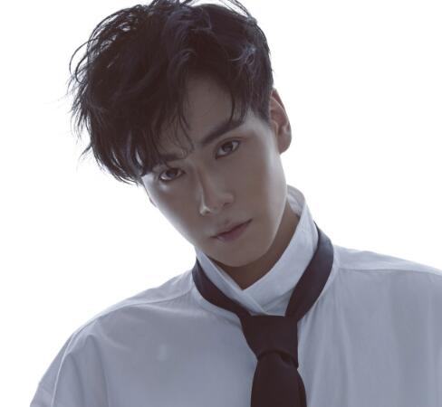 魏哲鸣胡一天什么关系 两个人为什么这么像