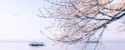 ​蝴蝶双双入菜花,日长无客到田家的意思 蝴蝶双双入菜花,日长无客到田家的意思是