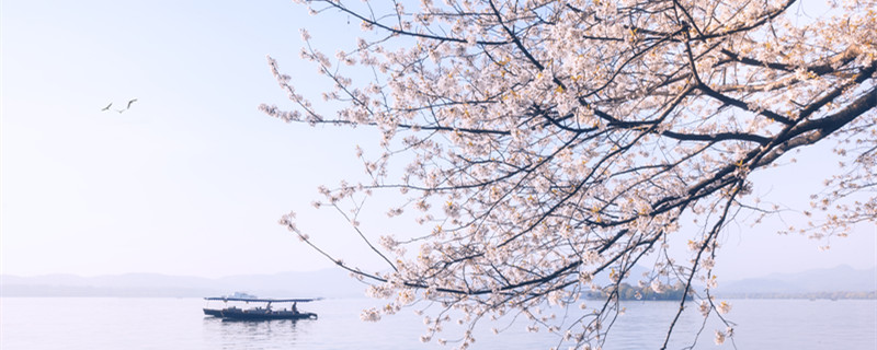 蝴蝶双双入菜花,日长无客到田家的意思 蝴蝶双双入菜花,日长无客到田家的意思是什么