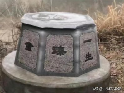 ​保姆放火案怎么回事（仔细揣摩保姆放火案的细节）