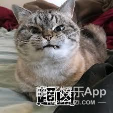 黑糖玛奇朵王子现在的样子(还记得黑糖玛奇朵里的小杰吗)(24)